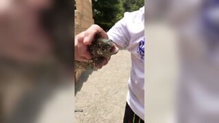 Алания - парк Араматик: рыбалка
