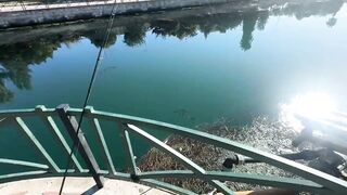 Турция - про морскую ловлю