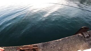 Абхазия - с женой: море микроджигом и форель за сутки