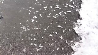 Абхазия - с женой: море микроджигом и форель за сутки