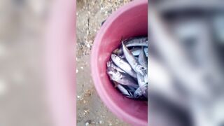 Витязево - морская рыбалка