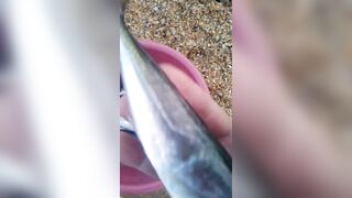 Витязево - морская рыбалка