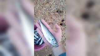Витязево - морская рыбалка