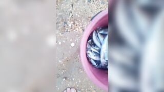 Витязево - морская рыбалка