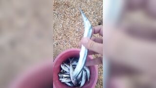 Витязево - морская рыбалка