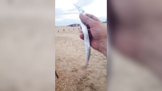 Витязево - морская рыбалка