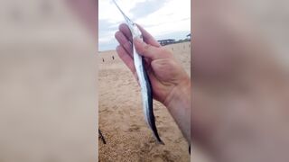 Витязево - морская рыбалка