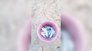 Витязево - морская рыбалка