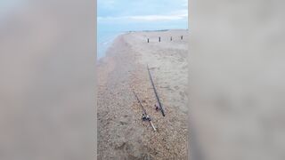 Витязево - морская рыбалка