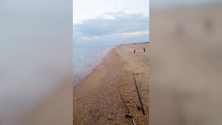 Витязево - морская рыбалка