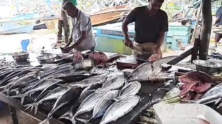Галле - рыбный рынок