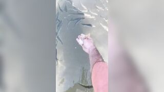 Мармарис - кормлю рыбу