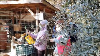 Поход в национальный парк и каньон в Гейнюке