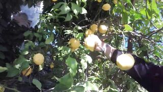 Турция, каньон Гёйнюк - рыба за 1000$ и пеший маршрут