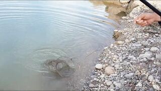 Рыбалка в Турции - река Алара