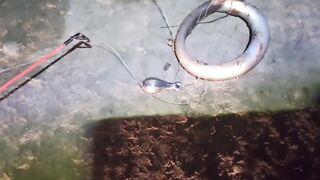 Ночная рыбалка в Турции - река Алара