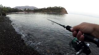Рыбалка в Турции, Фетхие - начало августа 2019, shore jigging