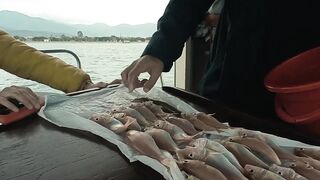 Рыбалка в Фетхие - море и берег