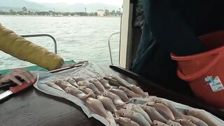 Рыбалка в Фетхие - море и берег