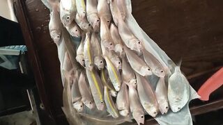 Рыбалка в Фетхие - море и берег