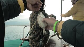 Рыбалка в Фетхие - море и берег