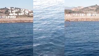 Алания, Тюрклер - 16 марта 2025, +28° #alanya #тюрклер #веснавалании