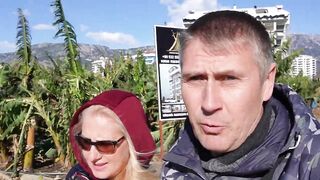 Алания, Махмутлар - магазин охота и рыбалка ALBIMO LOFT, с полным ходом