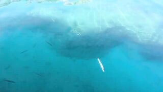 Рыбалка на барракуду в Турции - Каш, 2024