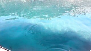 Рыбалка на барракуду в Турции - Каш, 2024