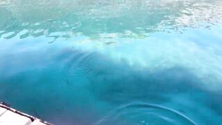 Рыбалка на барракуду в Турции - Каш, 2024