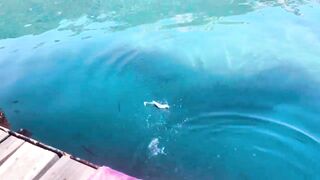 Рыбалка на барракуду в Турции - Каш, 2024