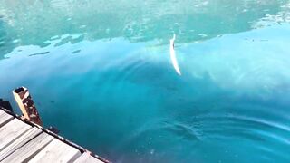 Рыбалка на барракуду в Турции - Каш, 2024