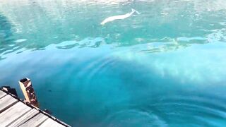 Рыбалка на барракуду в Турции - Каш, 2024