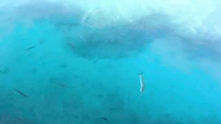 Рыбалка на барракуду в Турции - Каш, 2024