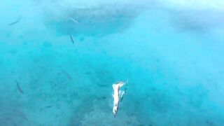 Рыбалка на барракуду в Турции - Каш, 2024