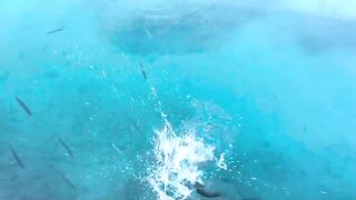 Рыбалка на барракуду в Турции - Каш, 2024