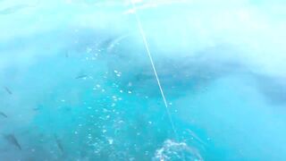 Рыбалка на барракуду в Турции - Каш, 2024