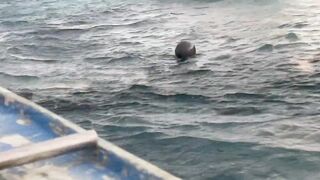 Рыбалка на Гили