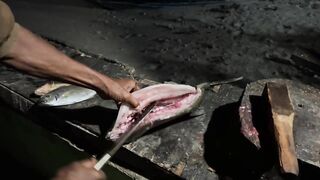 Рыбалка на Гили