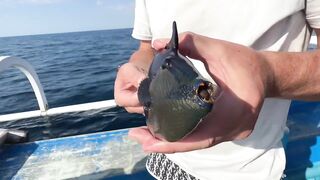 Рыбалка на Гили