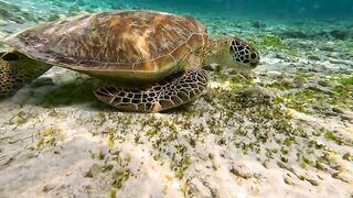 Гили - лучше, чем Мальдивы и Бали?