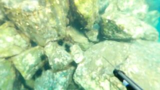 Турция, Газипаша - подводная охота и морская рыбалка
