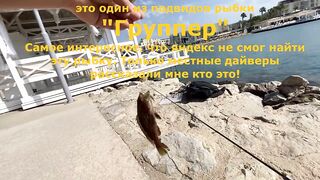 Бодрумские дорады откусывают крючки вместе с приманками - часть 1. Turkey Rockfishing