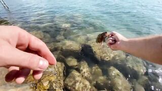 Бодрумские дорады откусывают крючки вместе с приманками - часть 1. Turkey Rockfishing