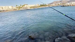 Бодрумские дорады откусывают крючки вместе с приманками - часть 1. Turkey Rockfishing
