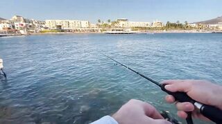 Бодрумские дорады откусывают крючки вместе с приманками - часть 1. Turkey Rockfishing