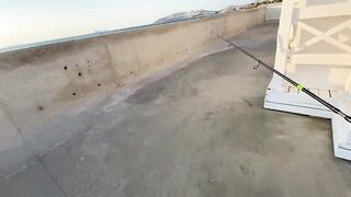 Бодрумские дорады откусывают крючки вместе с приманками - часть 1. Turkey Rockfishing