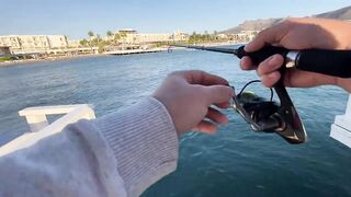 Бодрумские дорады откусывают крючки вместе с приманками - часть 1. Turkey Rockfishing