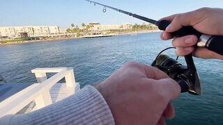 Бодрумские дорады откусывают крючки вместе с приманками - часть 1. Turkey Rockfishing