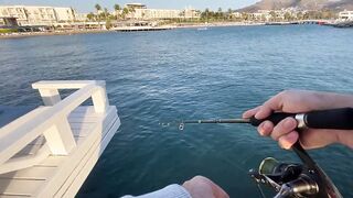 Бодрумские дорады откусывают крючки вместе с приманками - часть 1. Turkey Rockfishing